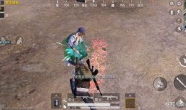 吃鸡爆料孙悟空视频大全,视频大全揭秘花果山英雄的另类冒险