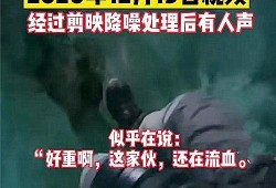 爆料睢宁船长事件视频播放,真相与争议交织