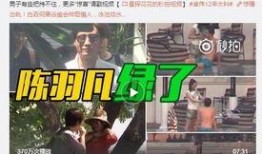 凌达乐视频爆料是真的吗,凌达乐视频爆料真实性揭秘