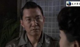 电视剧血刃全集在线观看,揭秘暗战风云，热血激战背后的真相
